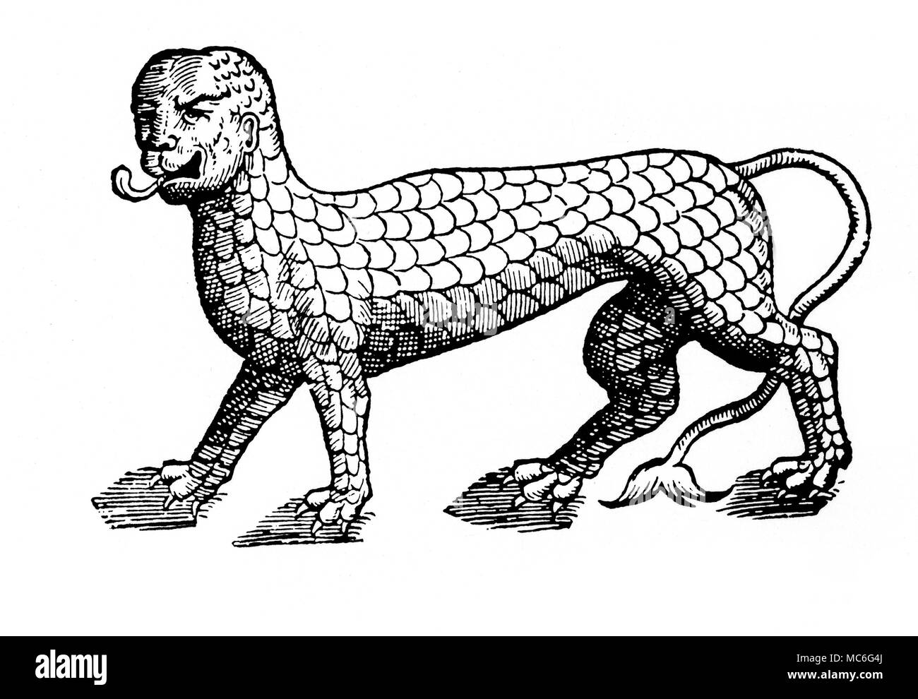 Monstres - SEA-LION un monstre, décrit comme un "lion de mer", dessiné par Ambroise ParÃš pour son étude, des monstres, 1584 - connu en anglais comme sur les monstres et merveilles. Banque D'Images