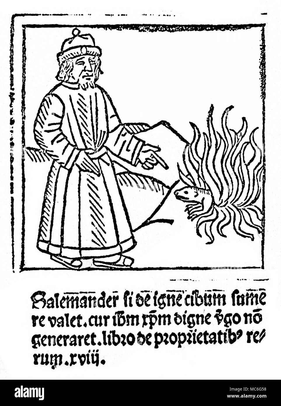 Des phénomènes étranges - le christianisme - la salamandre d'un 'miracle' comment une salamandre peut utiliser une flamme et le feu comme la nourriture. La gravure sur bois, l'illustration de ce pouvoir, est un argument que si cela peut se produire alors pourquoi ne devrait pas le miracle de la naissance vierge également se produire. Gravure sur bois de Franciscus de Retza, inviolatae Defensorium virginitas Mariae, fin du 15e siècle. Banque D'Images