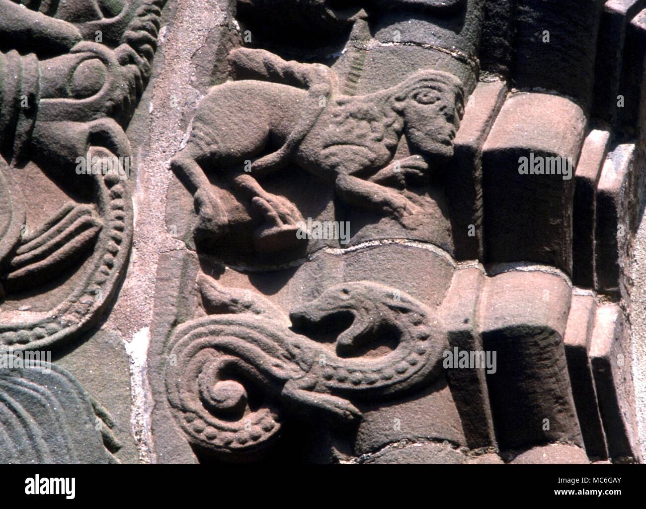 Les animaux Manticora Manticora À moitié humain, entre l'ésotérique de détails sur le portail de la façade de l'église normande, près de Kilpeck à Hereford Banque D'Images