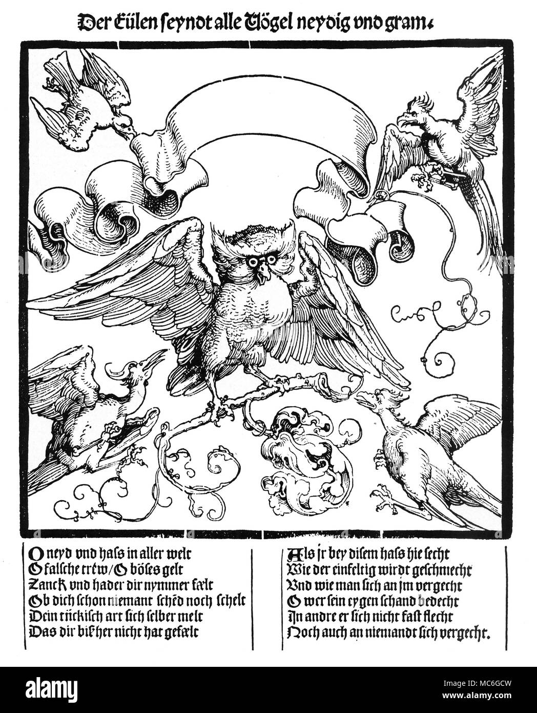 - Symboles de la sagesse La sagesse des persécutés. Gravure sur bois impression à partir d'un journal de qualité de circa 1540, symbolisant l'idée de persécution, et attribuée à l'artiste allemand Albrecht DÂ³rer. L'inscription en allemand lettre noir en haut de l'impression se traduit par : Tous les oiseaux sont jaloux de terriers, et supporter une rancune. Banque D'Images