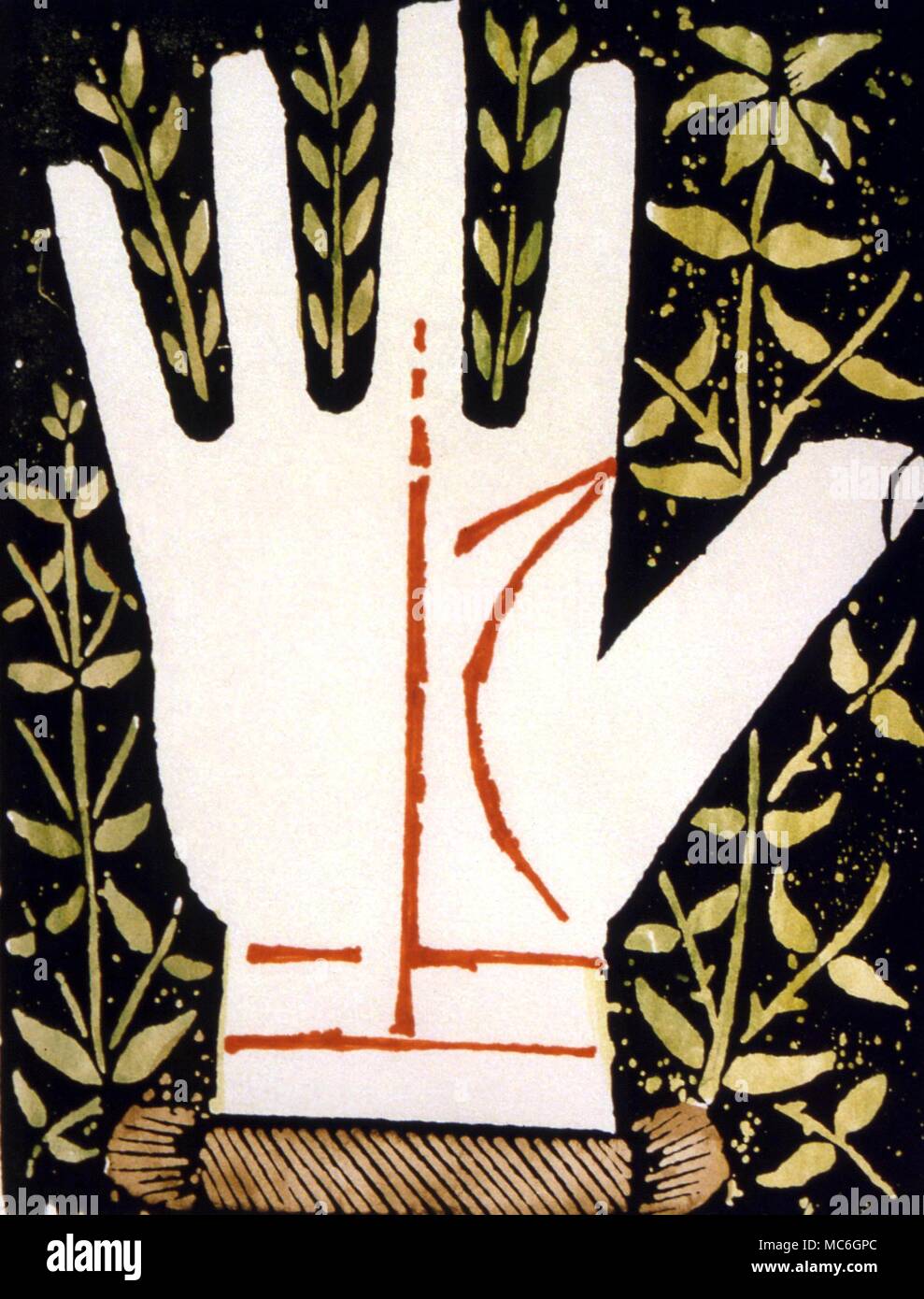 La CHIROMANCIE - une gravure sur bois à partir d'un livre du 16ème siècle de la chiromancie par Joseph Cocles. La ligne droite de Saturne, fonctionnant jusqu'à la racine du doigt du milieu, est un signe de bonne fortune, 'l'un prospère dans tous les rapports" Banque D'Images