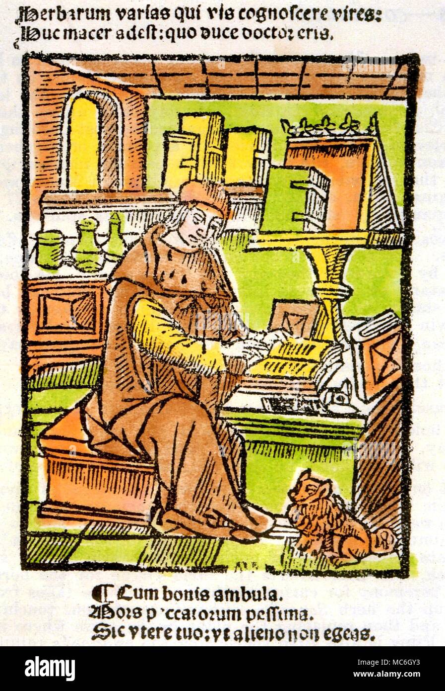 La médecine médiévale - herbes. Illustration d'un texte traitant de 77 herbes curatives, en Amérique hexameter. Floribus Macer, De Viribus herbarum, 1520 Banque D'Images