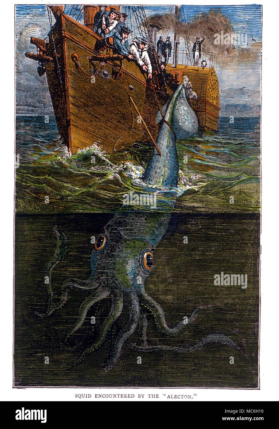 Monstres - Le calmar géant capturé par l'Alecton au 19ème siècle, après une gravure précédemment publiés dans "Le monde de merveilles" Banque D'Images