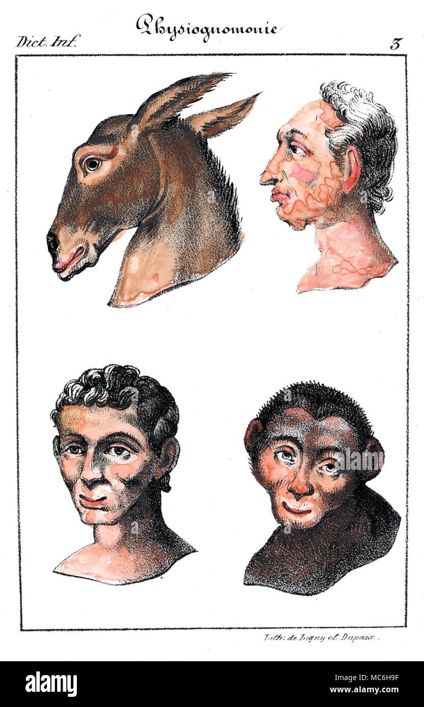 PHYSIOGNOMY - COMPARAISON AVEC LES ANIMAUX deux têtes humaines par rapport aux animaux des configurations faciales similaires. La conclusion tirée est que l'homme en haut est bovin - c'est, placid, mais pas particulièrement brillant. La jeune fille en bas est en quelque sorte dans la nature de l'espèce porcine. Lithographie, de Collin de Plancy Dictionnaire infernale, 1863. Banque D'Images