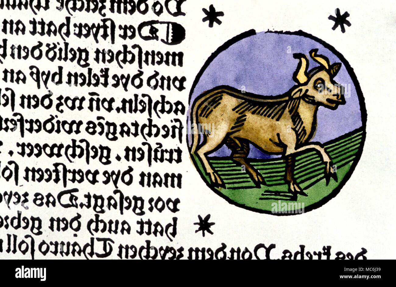 Signes du zodiaque Taureau le taureau de l'image du taureau taureau céleste début xvie siècle gravure sur bois (allemand) Banque D'Images