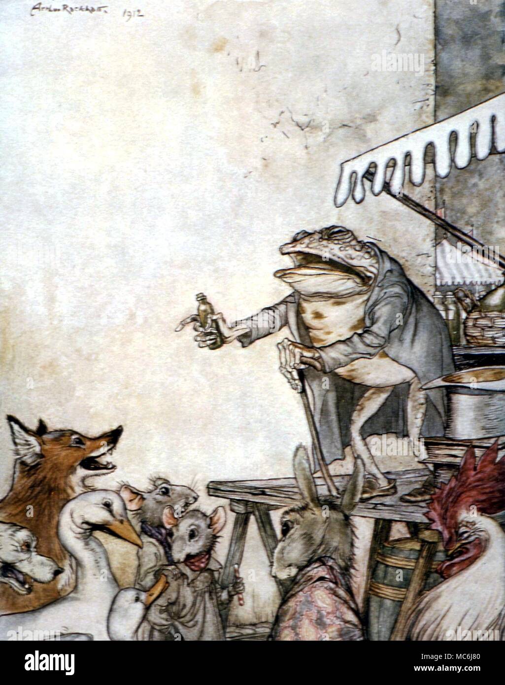 Contes - QUACK GRENOUILLE. Illustration par Arthur Rackham de l'histoire de la grenouille, du charlatan Fables d'Ésope, 1908 Banque D'Images