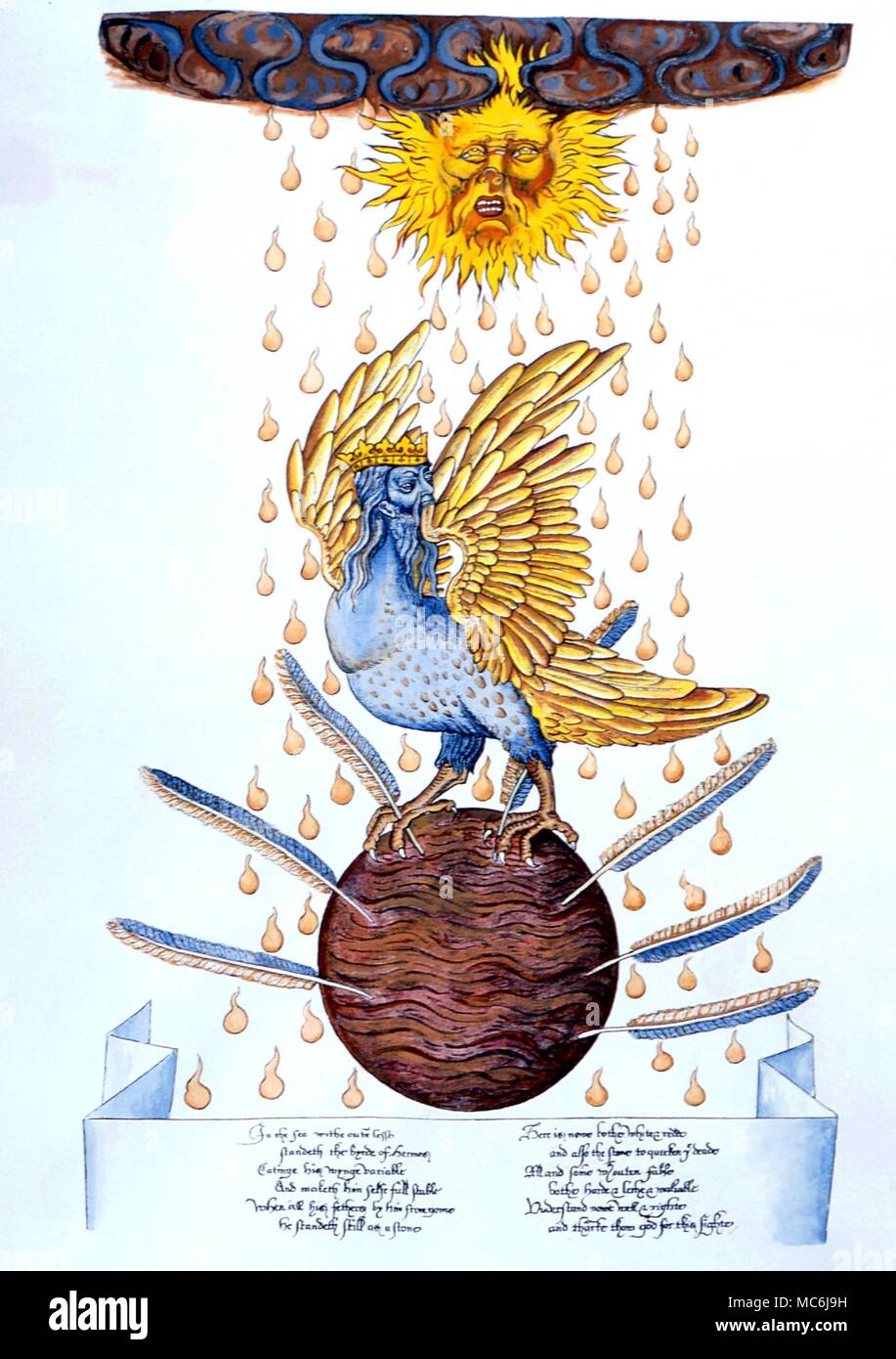 L'alchimie - l'oiseau d'Hermès - Détail de la 16e siècle restauré 'Ripley Scroll" Écrit et illustré par Sir George Ripley de Bridlington. Collection privée. Banque D'Images