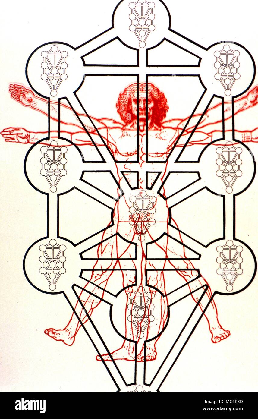 Sephirothic Kabbale Arbre et Adam Kadmon Le Sephirothic Arbre de la Cabale superposées à l'image de l'Homme Cosmique comme dessiné par Leonardo da Vinci comme un type de l'Adam Kadmon ou cabale n : l'homme primitif que l'on appelle parfois la Kabbale a deux significations ; le premier étant un corps d'enseignements mystiques d'origine rabbinique, qui sont fondées sur une interprétation ésotérique des textes hébreux. La Cabale est également connu comme une doctrine secrète qui ressemble à ces enseignements. Traditionnellement une question occulte ou ésotérique secrète Banque D'Images
