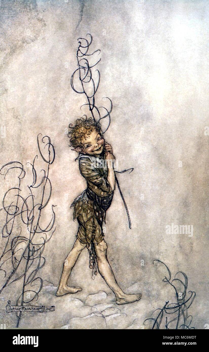 Contes de fées - Rondelle. "Seigneur, que ces imbéciles d'être mortels !" Illustration par Arthur Rackham pour l'Acte III, scène II de Shakespeare's A Midsummer Night's Dream, 1908 Banque D'Images