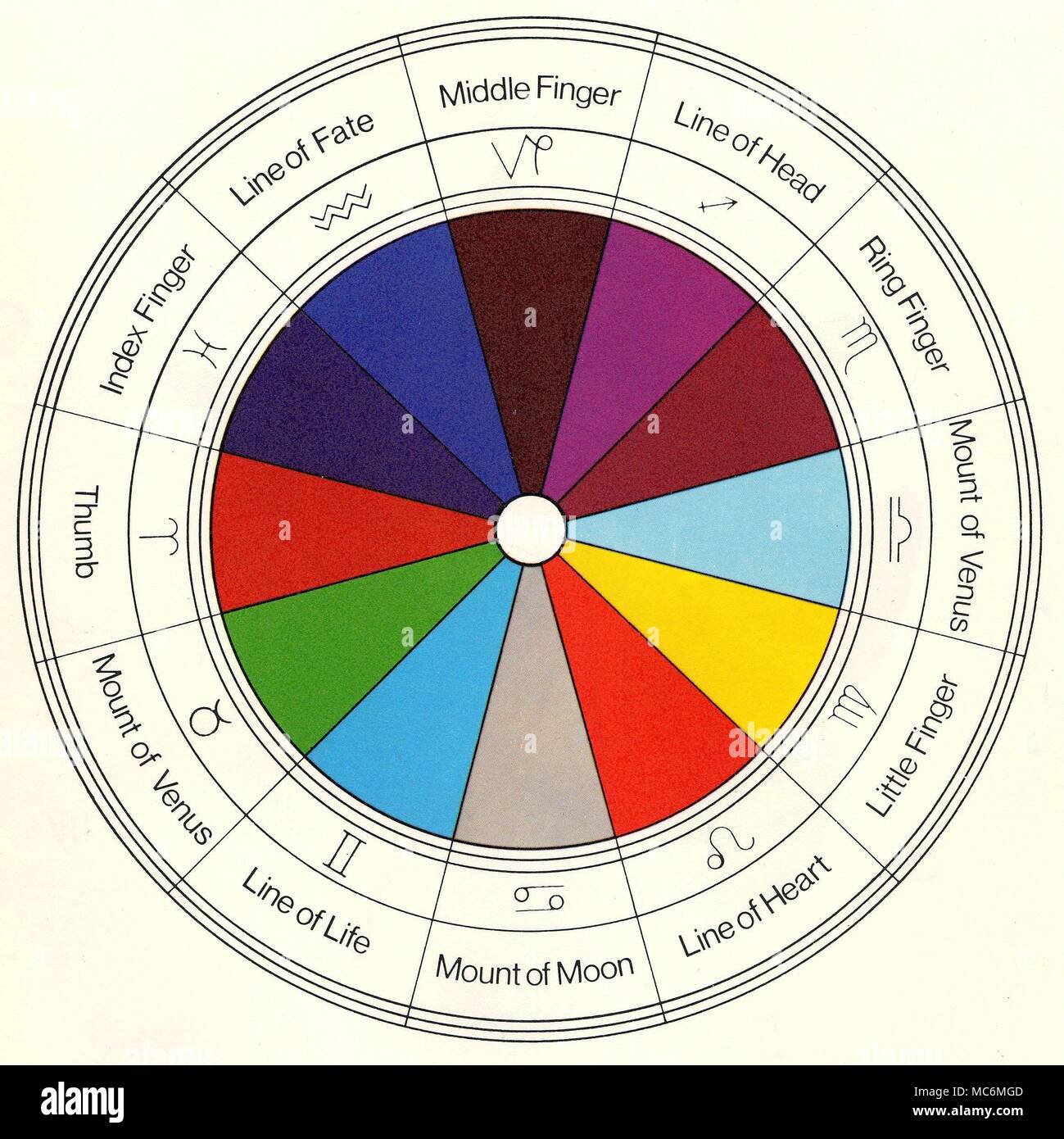 Palmistry Lines Banque D Image Et Photos Alamy