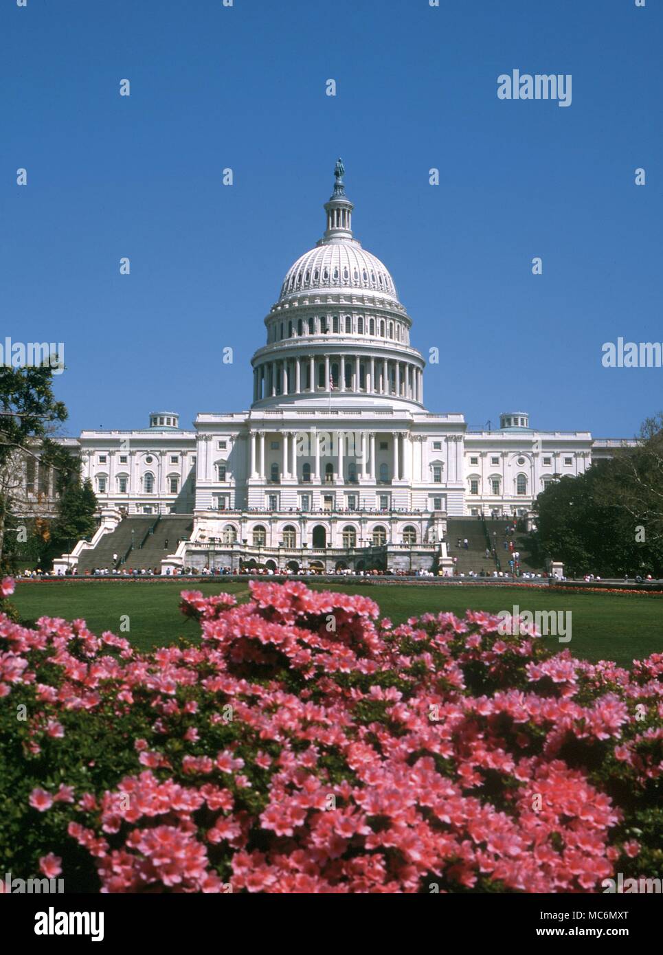 USA Washington D.C Le Capitole Banque D'Images