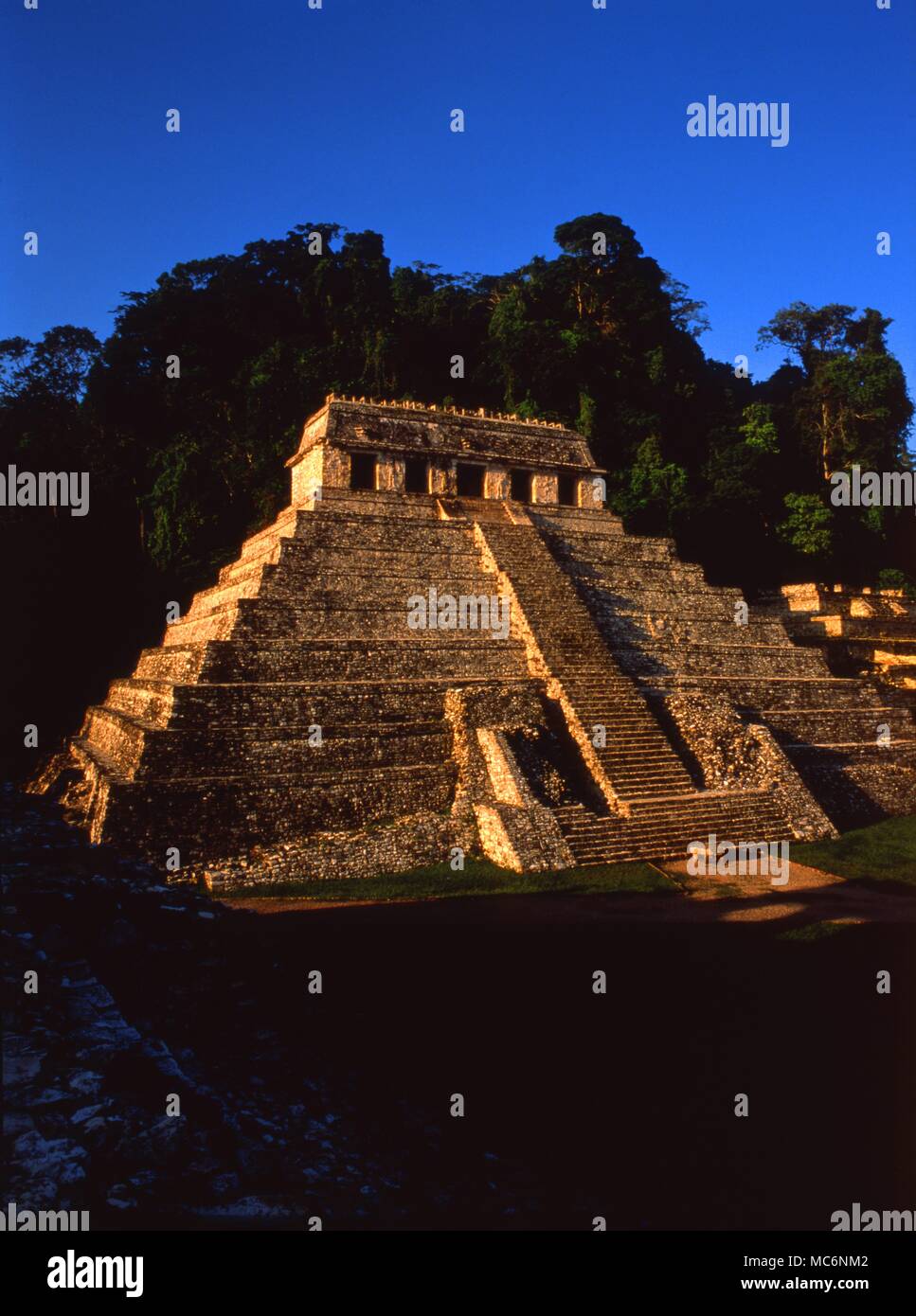 Mexique - PALENQUE - TEMPLE DES INSCRIPTIONS temple-pyramide des inscriptions, construite à la fin du 7e siècle. En 1951, une crypte secrète a été découverte à l'intérieur du temple avec 6 skelteons, et un septième, qui était probablement le squelette du constructeur du temple. Banque D'Images