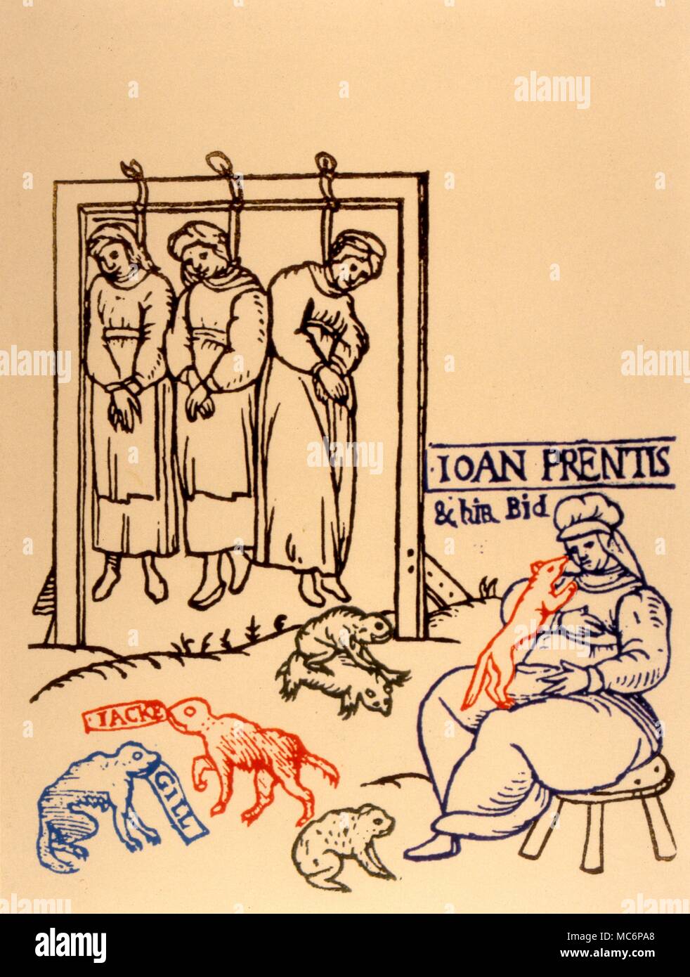 La pendaison, sorcières avec leurs soi-disant familiers dans le premier plan. Illustrations à partir d'un tract sur le procès de sorcellerie de Chelmsford 1589. Banque D'Images