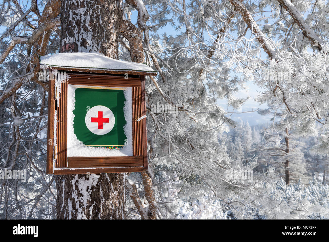 Coffret en bois pour urgence médicale trousse de secours accroché sur tronc d'arbre de Conifères couverts de neige en hiver forêt Banque D'Images
