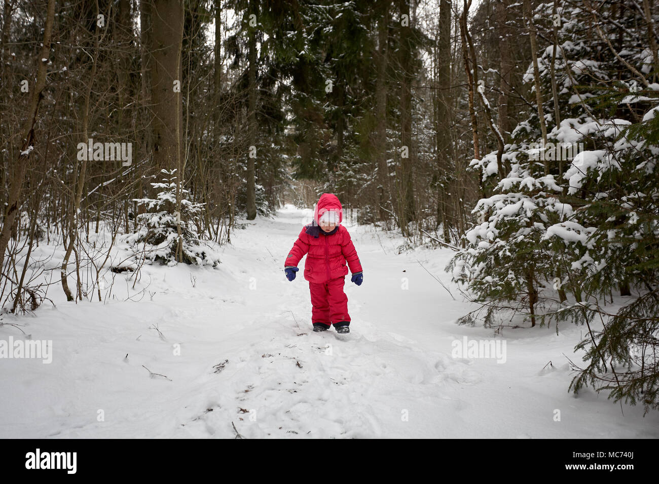 Cute little baby girl enfant avec veste et pantalon rouge joue dans la forêt parc en hiver. Banque D'Images