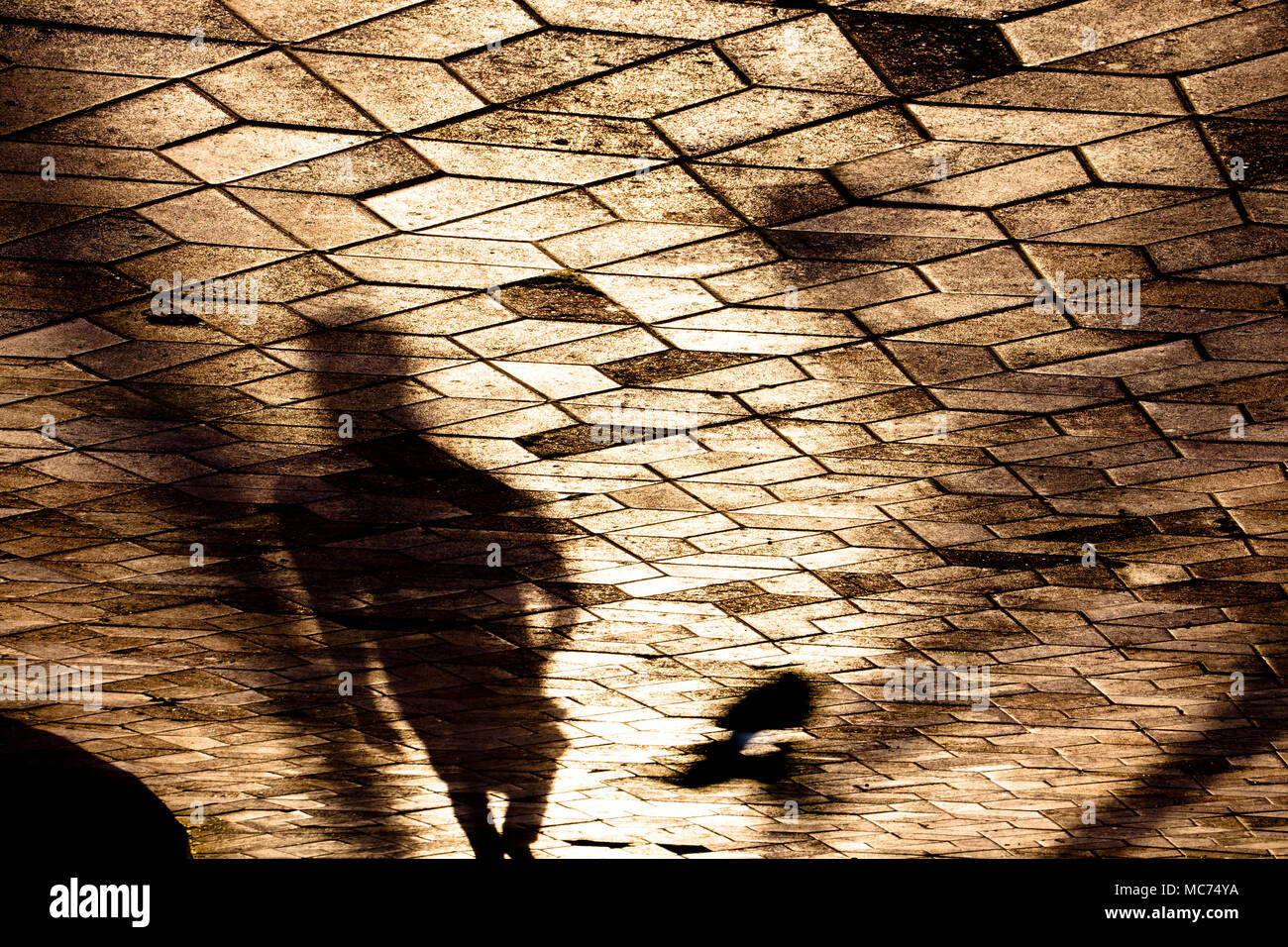 Silhouette d'ombre floue d'une personne et un oiseau en mouvement sur les trottoirs de la ville au coucher du soleil à motifs Banque D'Images