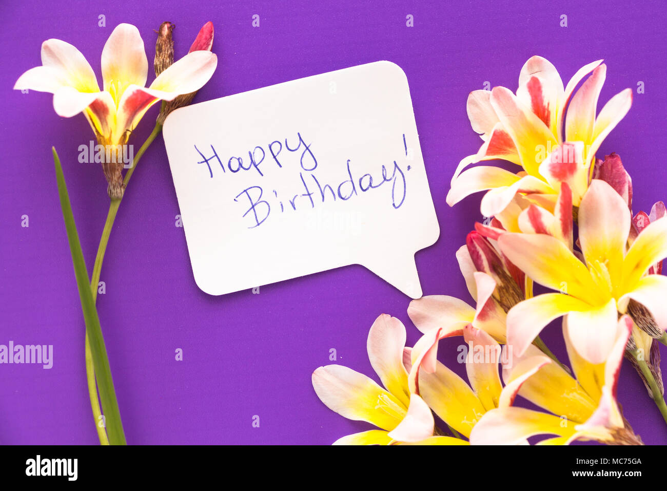 Remarque En Forme De Coeur Avec Les Mots Joyeux Anniversaire Avec Des Fleurs Sur La Surface Photo Stock Alamy Remarque En Forme De Coeur Avec Les Mots Joyeux Anniversaire Avec Des Fleurs Sur La Surface Photo Stock Alamy