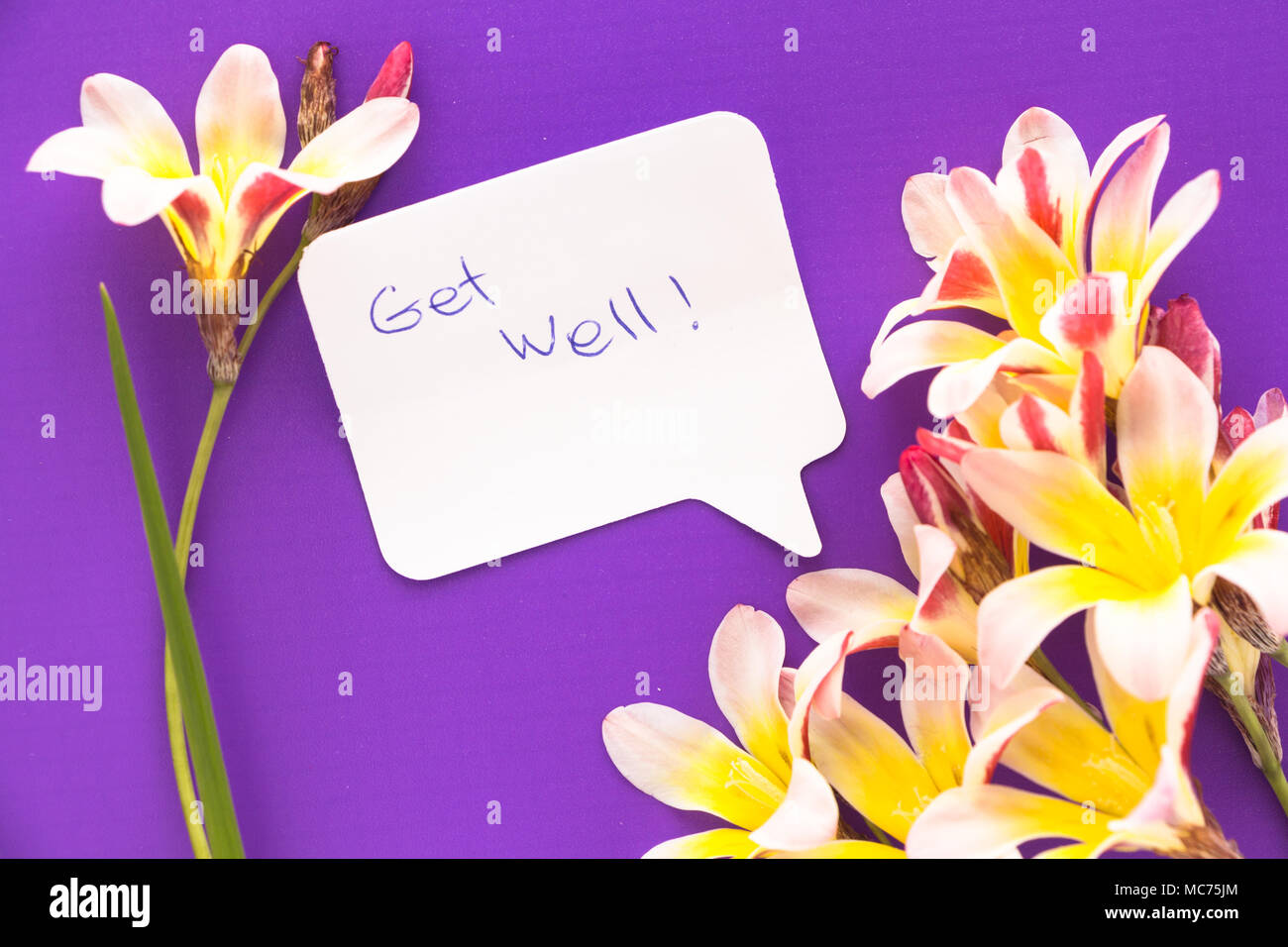 Remarque en forme de coeur avec les mots 'Get Well !' avec des fleurs pourpre sur la surface. Banque D'Images