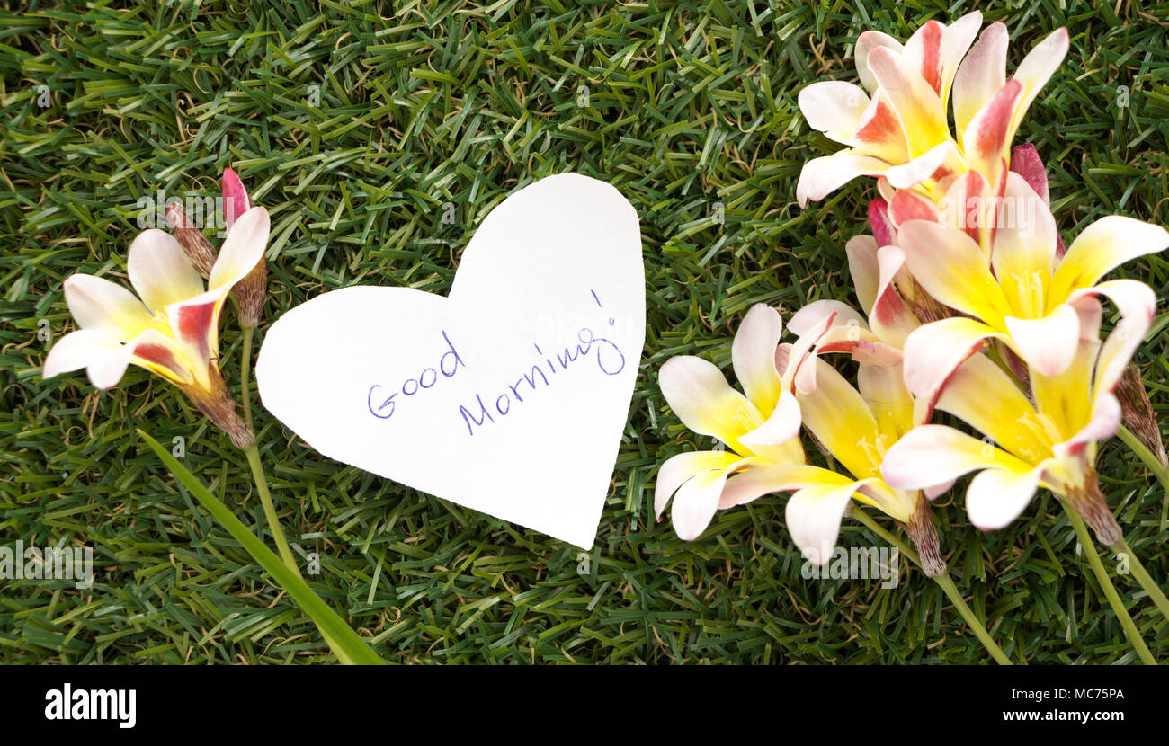 Remarque en forme de coeur avec des mots Bon matin !, avec des fleurs sur l'herbe verte. Banque D'Images