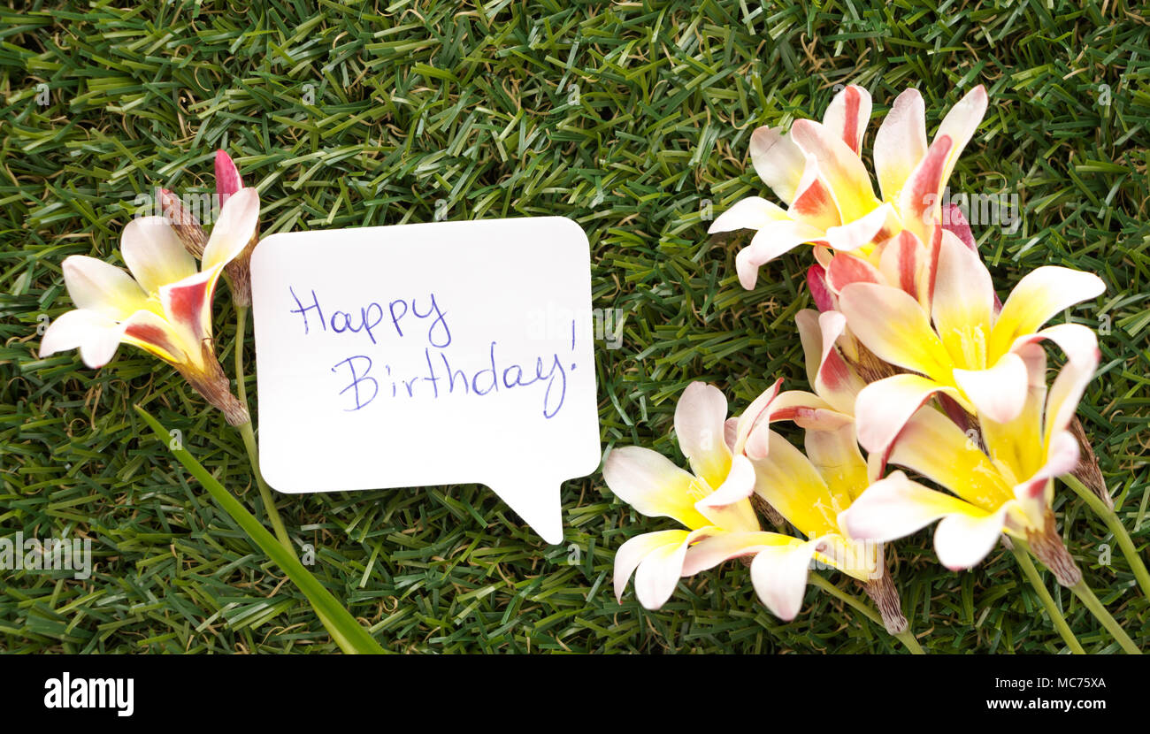 Remarque En Forme D Une Bulle De Chat Avec Des Mots Joyeux Anniversaire Et Des Fleurs Sur L Herbe Verte Photo Stock Alamy Remarque En Forme D Une Bulle De Chat Avec Des Mots Joyeux Anniversaire Et Des Fleurs Sur L Herbe Verte Photo Stock Alamy