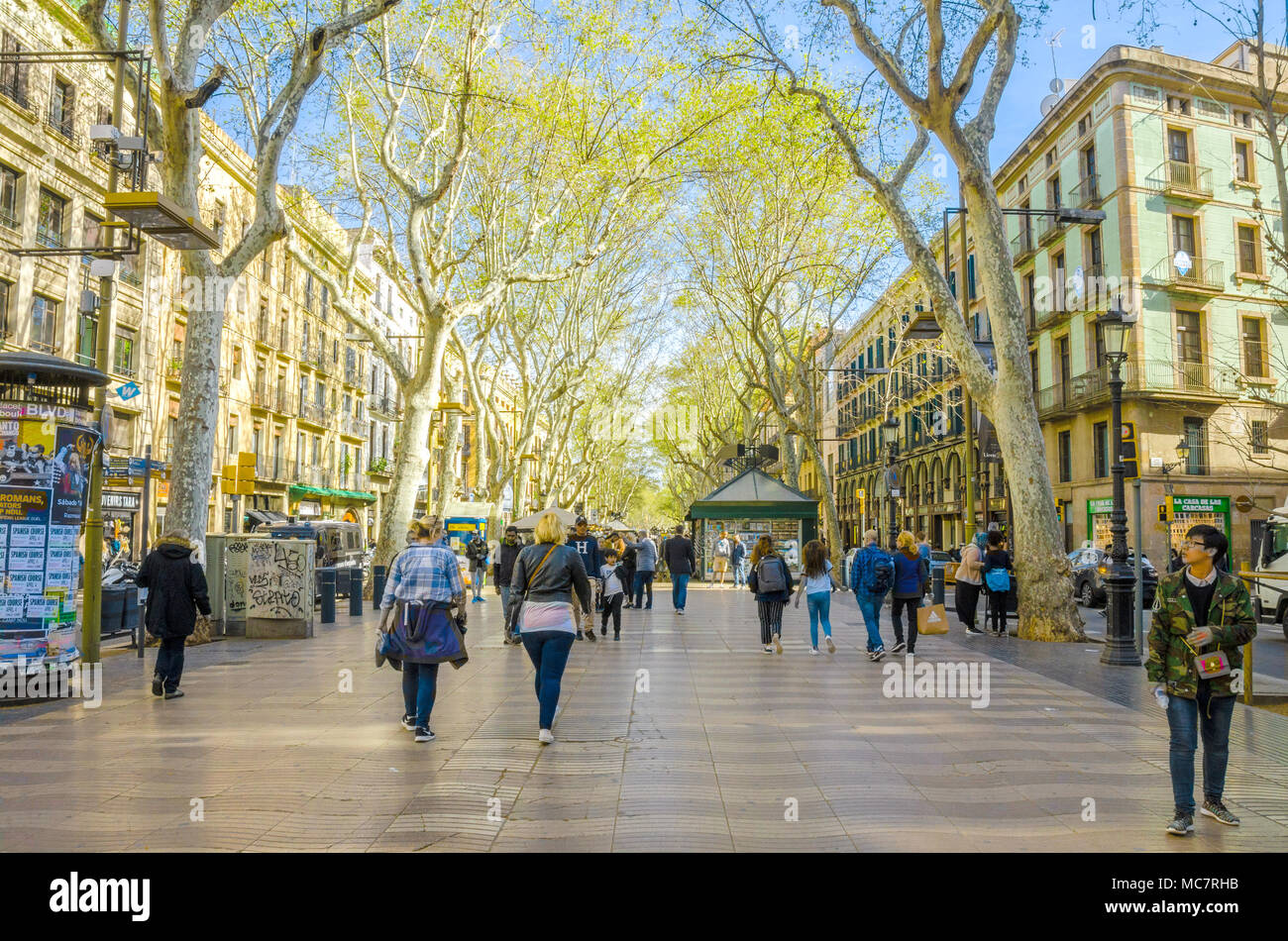 La Rambla de Barcelone, occupé avec les touristes. Bordée d'arbres de la germination en feuille, la route est bordée de boutiques et restaurants. Banque D'Images