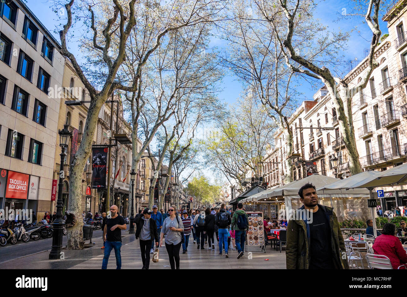 La Rambla de Barcelone, occupé avec les touristes. Bordée d'arbres de la germination en feuille, la route est bordée de boutiques et restaurants. Banque D'Images