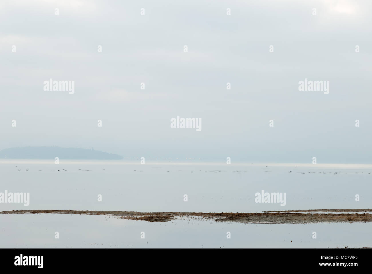 Vue du lac Trasimène minimaliste à l'aube de la rive avec des teintes douces Banque D'Images