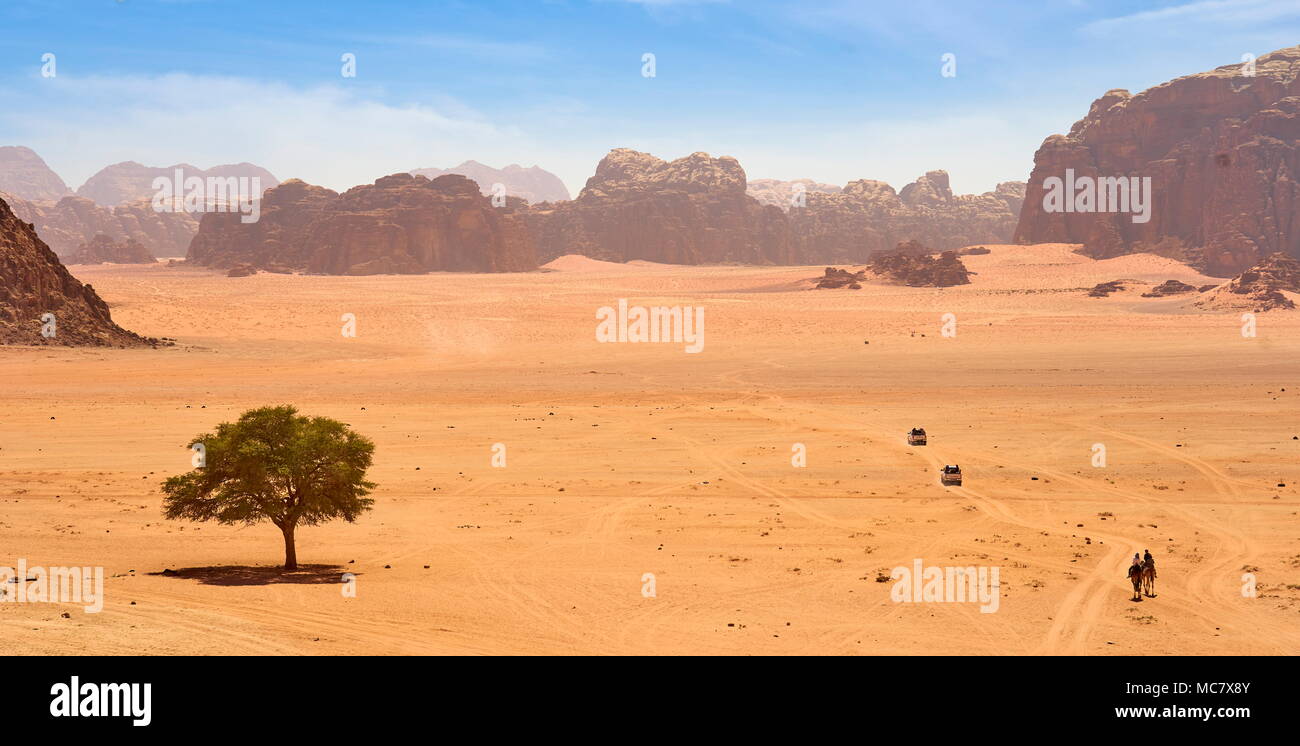 Le désert de Wadi Rum, Jordanie Banque D'Images