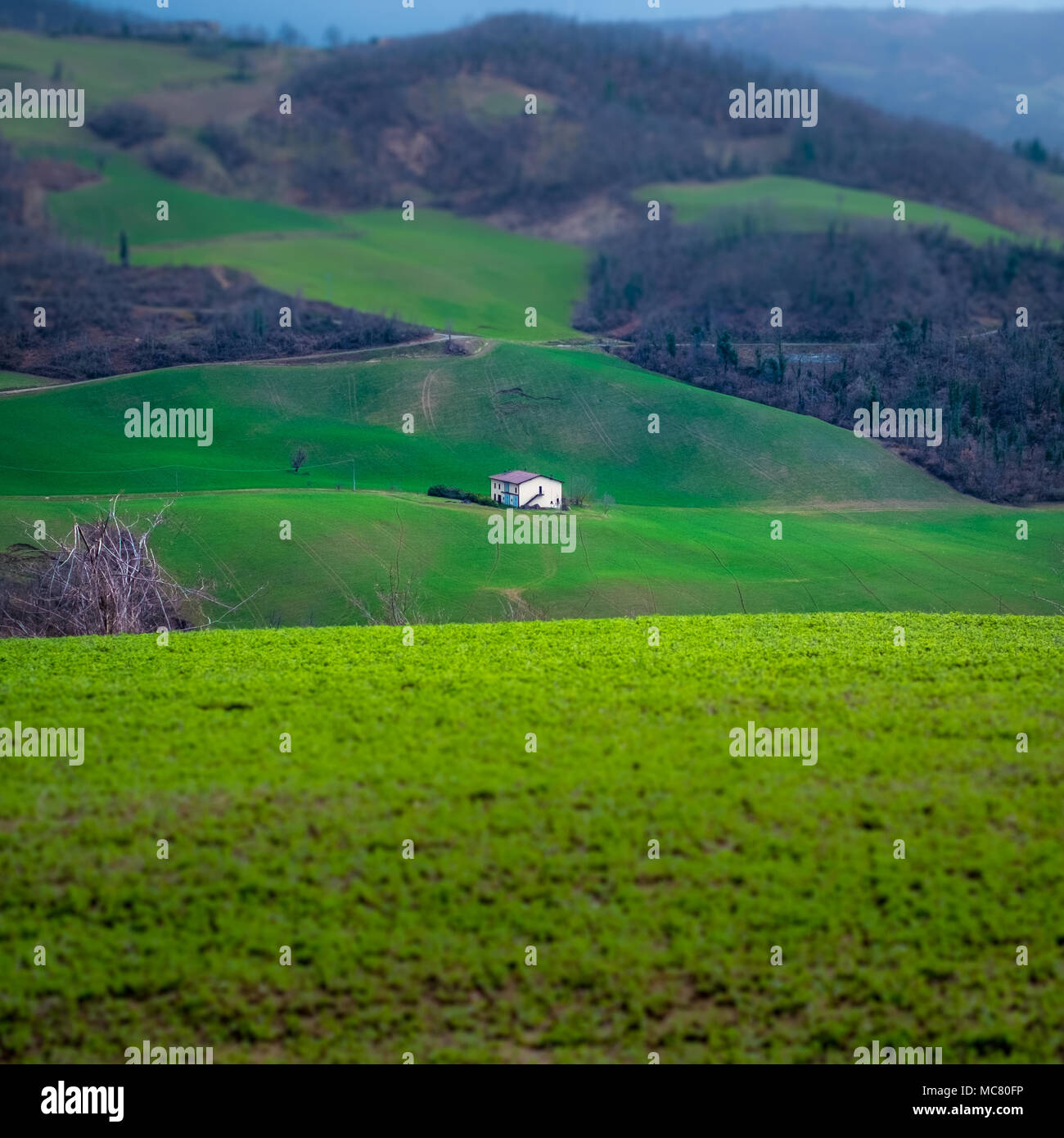 Une maison au milieu du paysage. Le nord de l'Apennin, province de Bologne, Emilie-Romagne, Italie. Banque D'Images