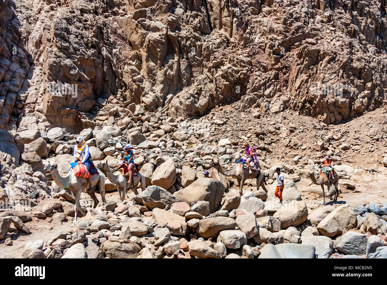 DAHAB, EGYPTE - le 26 août 2010 : Groupe de touristes allant pour une meharée dans Abu Galum, l'Égypte avec les nomades. C'est parmi les plus pittoresques d'un protégé Banque D'Images