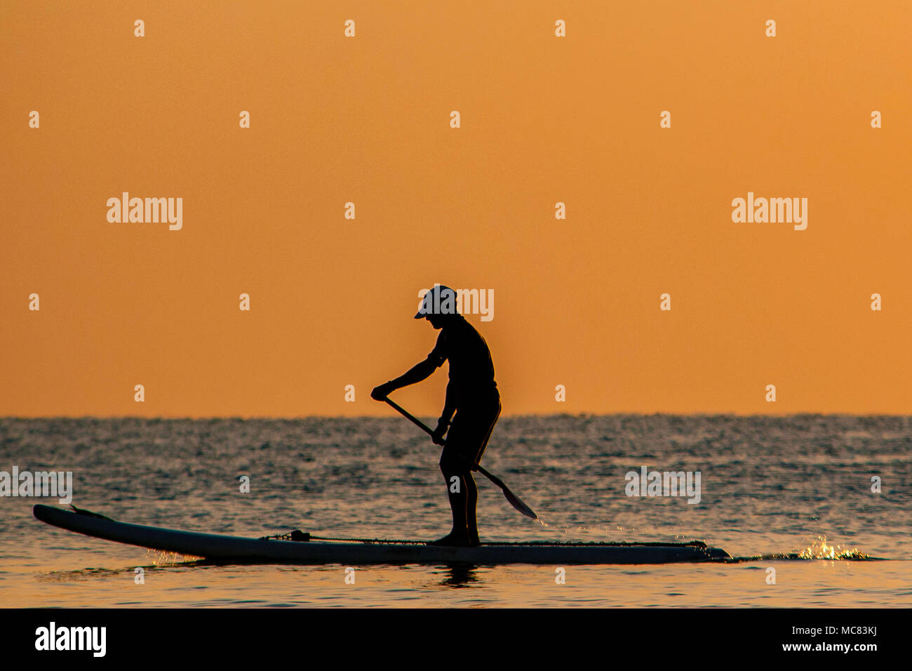 Un stand up paddle boarder est découpé sur le coloré lever tôt le matin sur la plage de Hollywood, Floride Banque D'Images