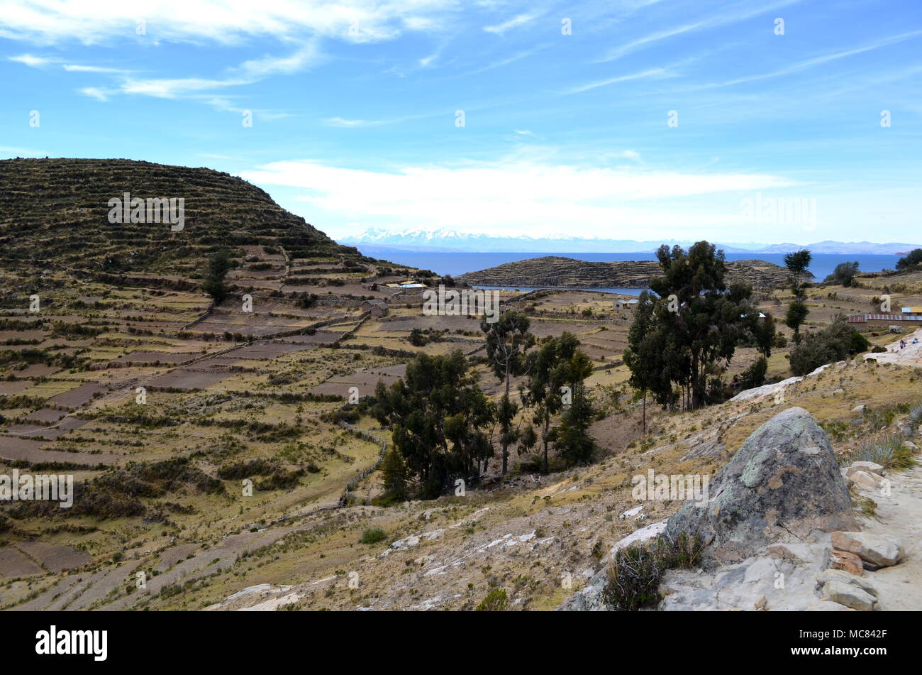 Cultures en terrasses sur Isla del Sol Le lac Titicaca, Pérou Banque D'Images