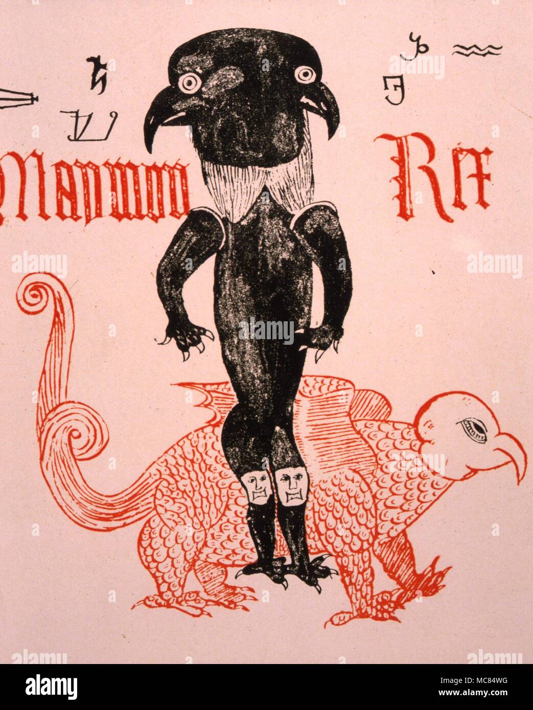 Nom anglais Banque de photographies et d’images à haute résolution Alamy