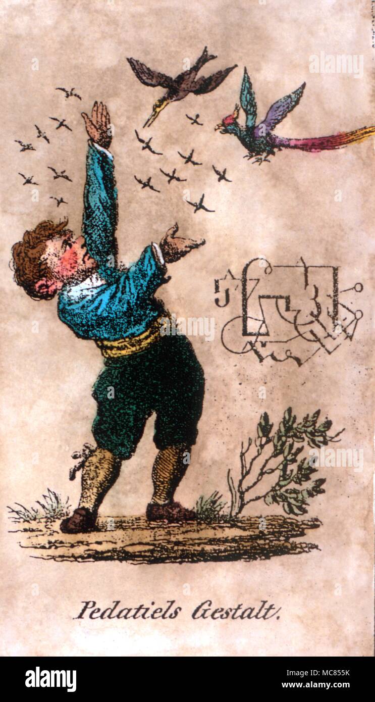 Le Pedatiel Pedatiel démons démon, avec ses cachets et un vol d'oiseaux. À partir de la plaque lithographique autrichienne Schiebel's 'Faustbuch" de vers 1860. Banque D'Images