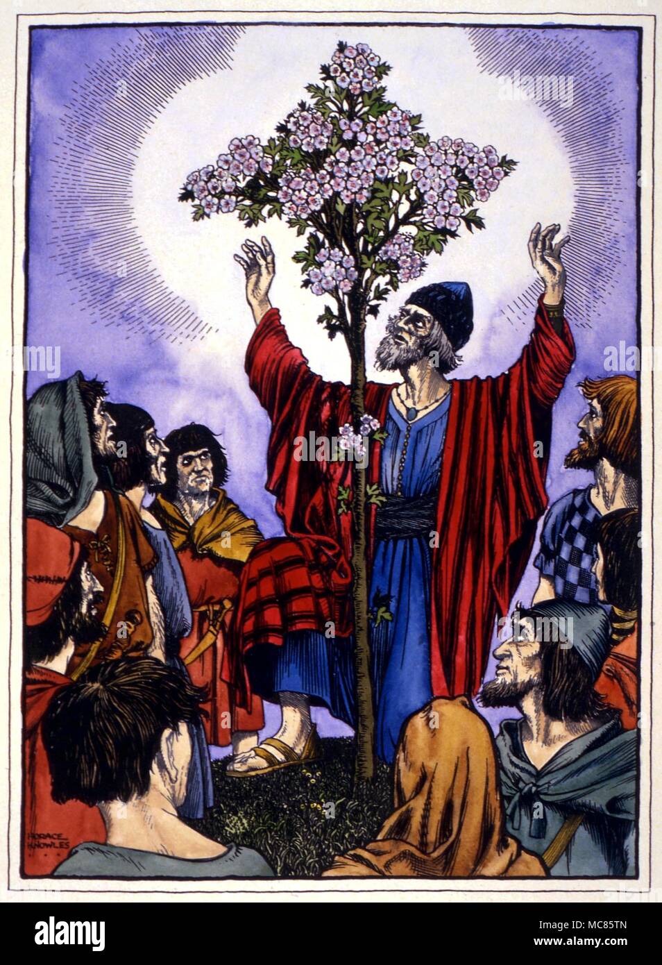L 'Glastonbury Thorn Floraison', qui fleurit sur l'ancien jour de Noël. Illustration romantique par Horace Knowles, à partir d'une main, édition de 'La Légende de Glastonbury', par un Chant, 1948 G Banque D'Images