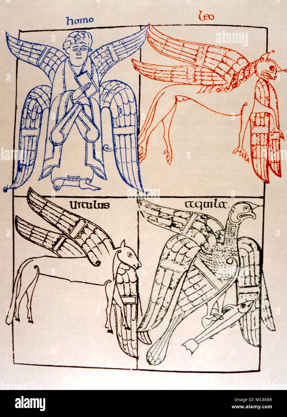 ELEMENTALS - quatre évangélistes Artwork après une page dans le "Livre d'Armagh' (début du ixe siècle), Trinity College, Dublin Banque D'Images