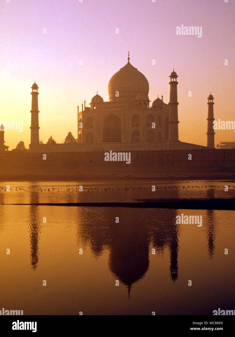 L'INDE Le Taj Mahal, construit par l'empereur moghol, Shah Jahan, en mémoire de son épouse favorite, Mumtaz Mahal, il est décrit comme le plus parfait, érigé à l'amour. Terminé 1653 Banque D'Images