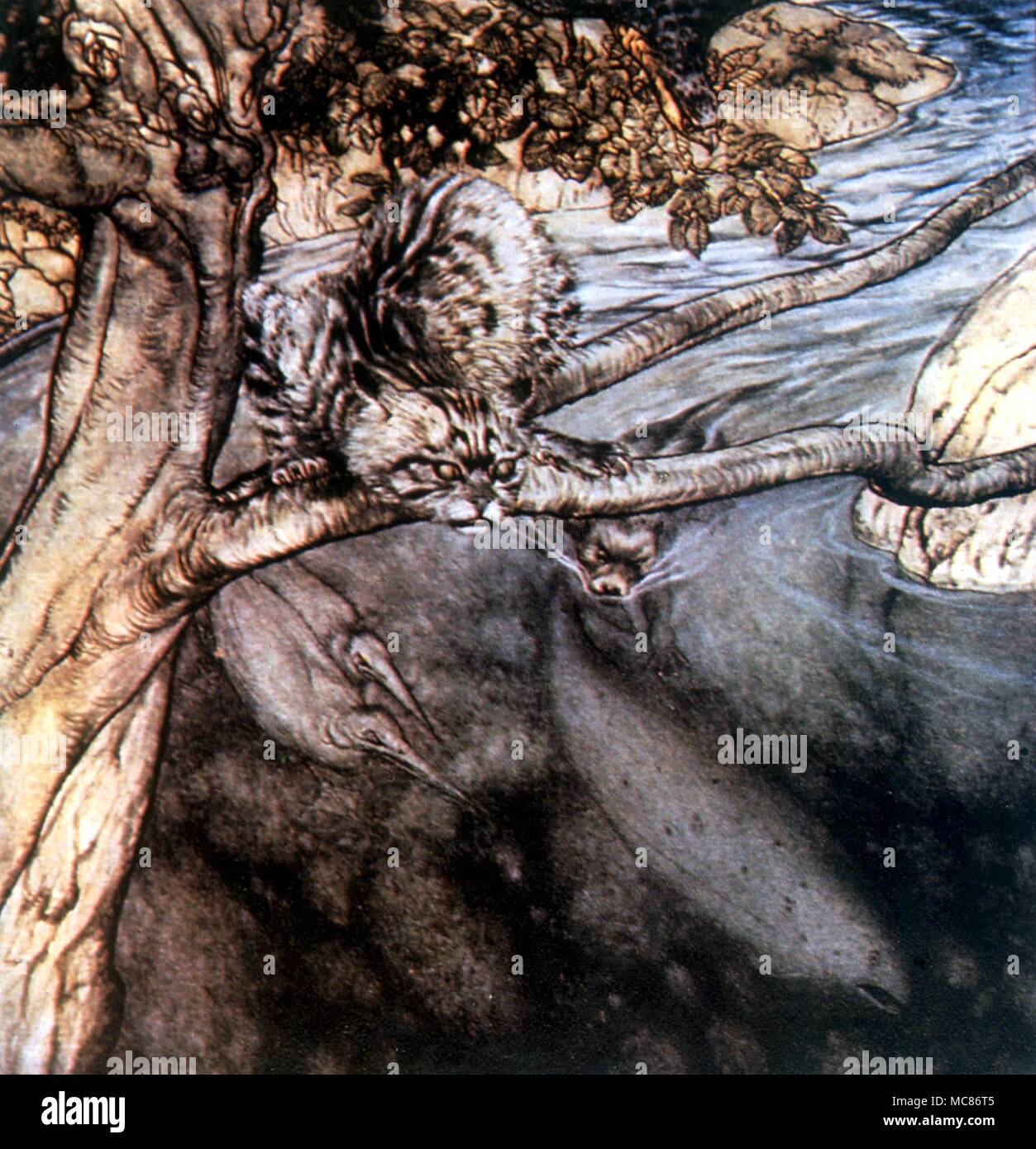 Réincarnation La terre-vies de répétées de son, qui est ici, demeurant dans son avatarformas un saumon. Illustration par Arthur Rackham pour Stephen's Irish Fairy Tales" Banque D'Images