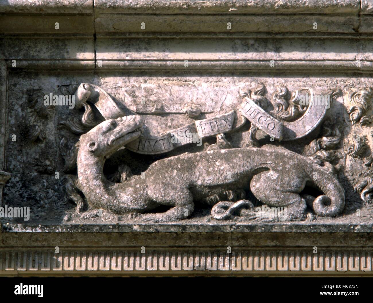 Animaux - la salamandre, dérivé d'un appareil, héraldique sur les murs du château de Blois. Design du 17e siècle Banque D'Images