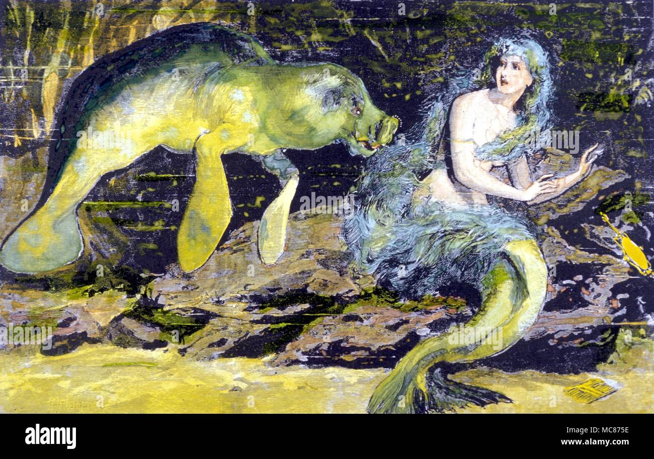 Mermaid monstres avec un lamantin, que l'on pensait être un monstre fabuleux, mais maintenant connu pour être un des cétacés herbivores aquatiques de l'Atlantique. La gravure sur bois du xixe siècle Banque D'Images