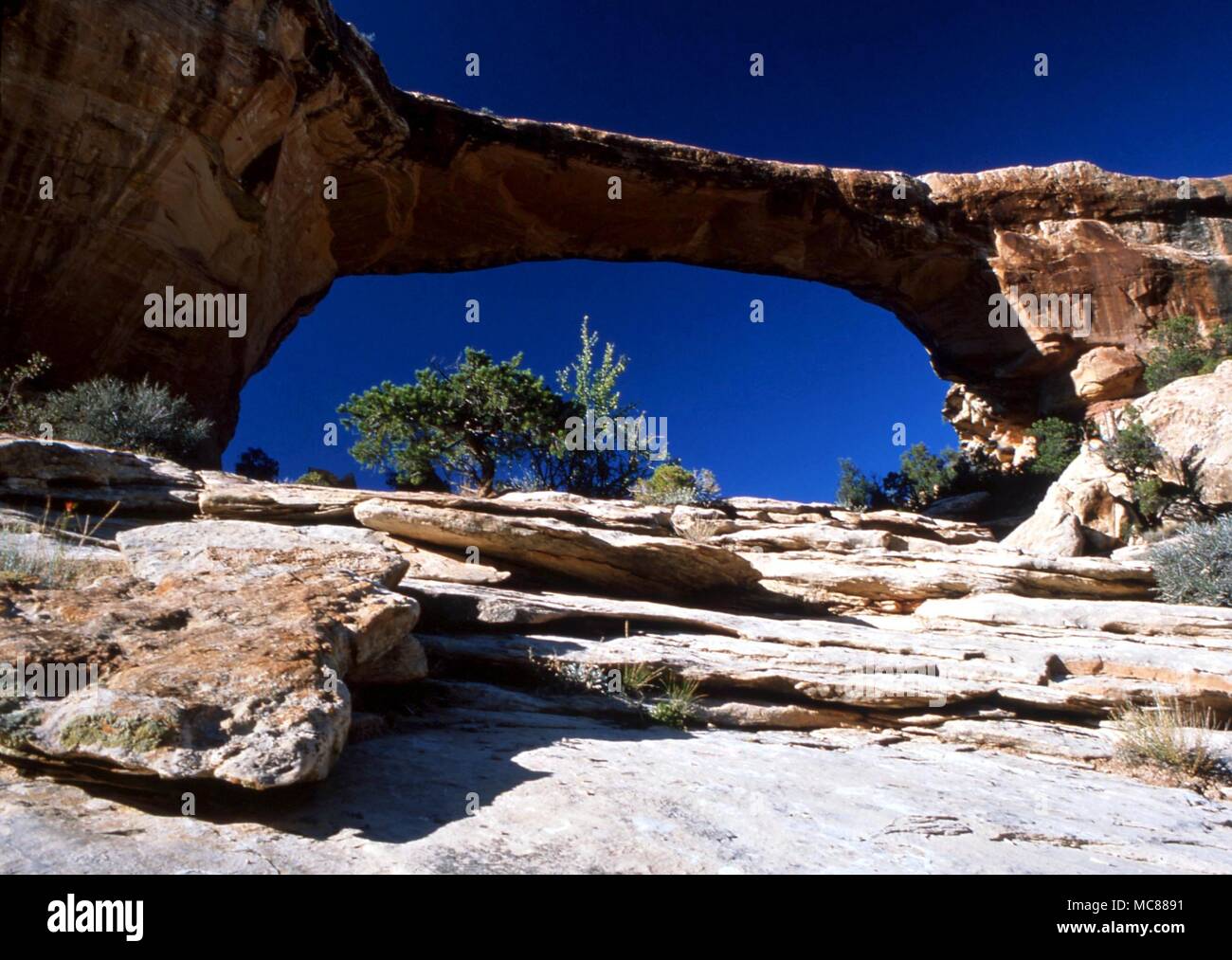Les Indiens de l'AMÉRIQUE DU NORD sacré pour les Indiens d'Amérique du Nord ont été beaucoup des étranges formations dans les zones désertiques. Rock formation à Arches National Park Banque D'Images