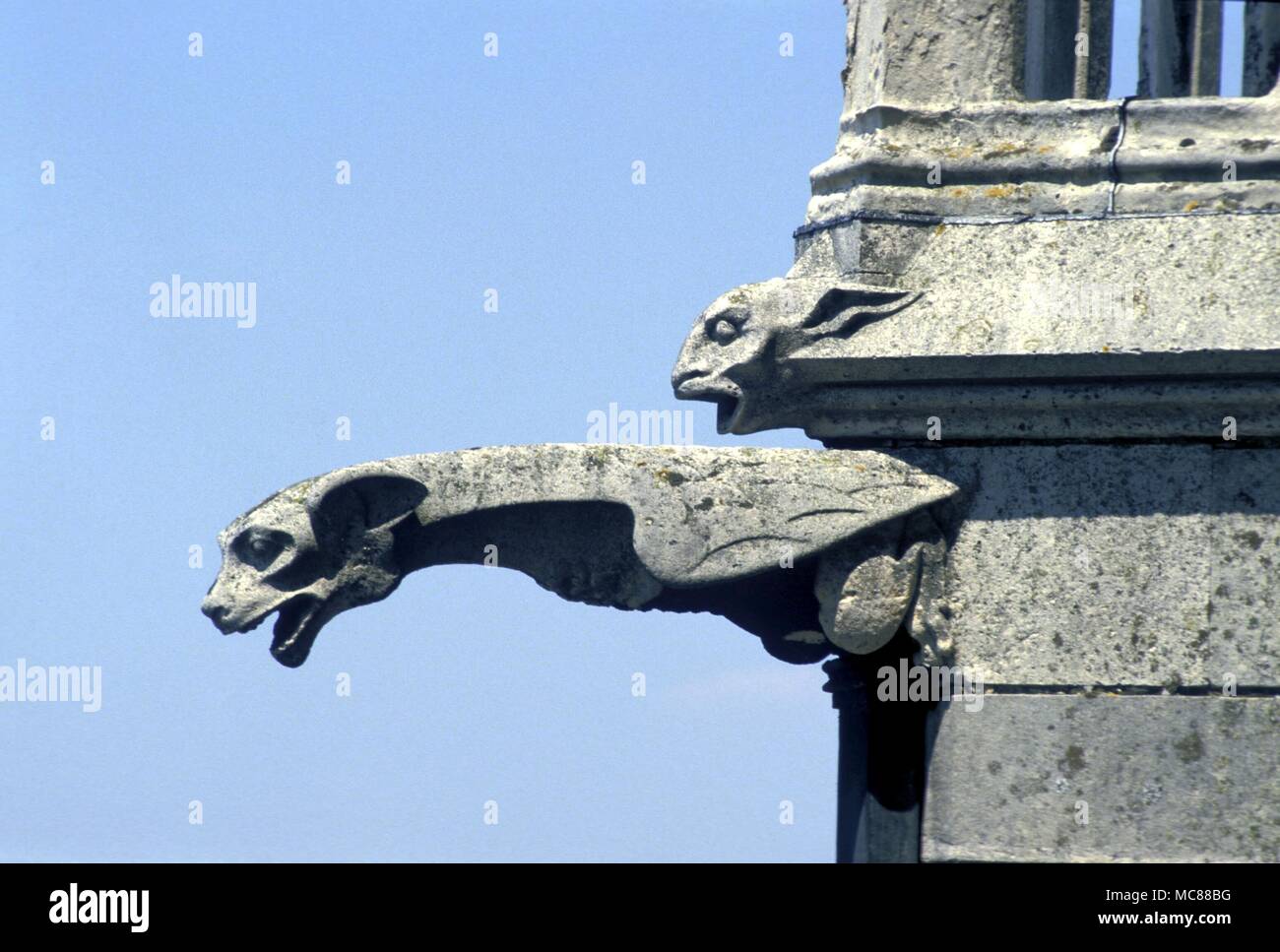 Gargouille sur la façade occidentale de la cathédrale d'Amiens. 13e siècle ? Banque D'Images