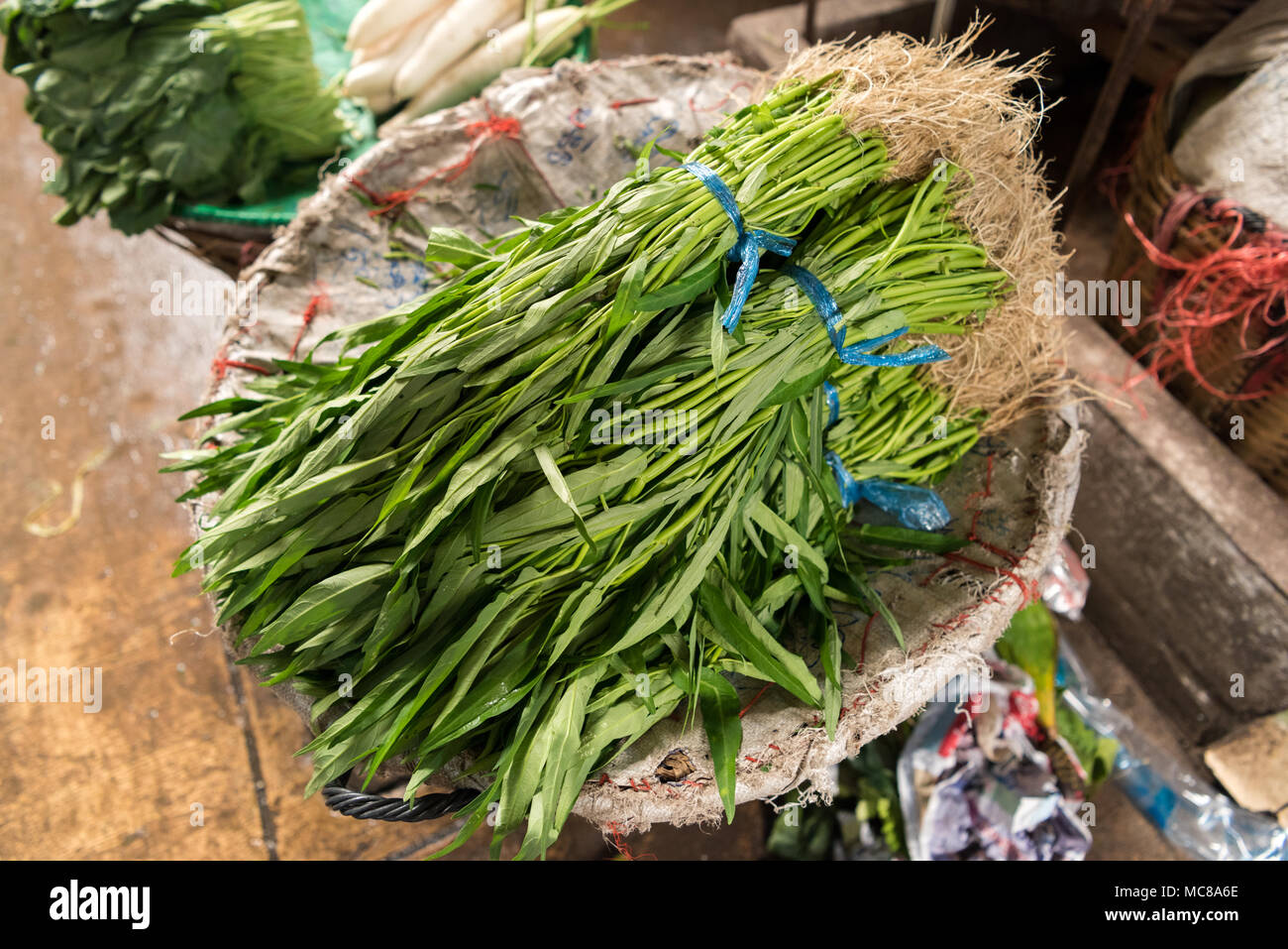 Les cadres de morning glory verts à vendre dans le marché aux fleurs à Bangkok en Thaïlande Banque D'Images