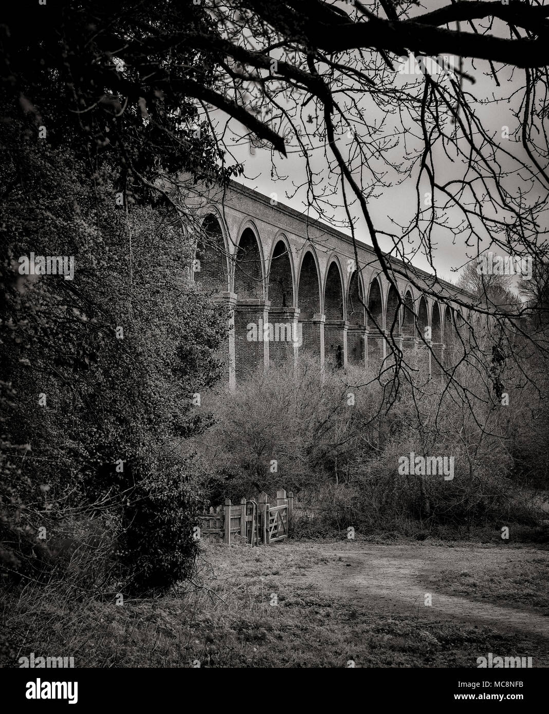 Viaduc de Chappel, Essex Banque D'Images