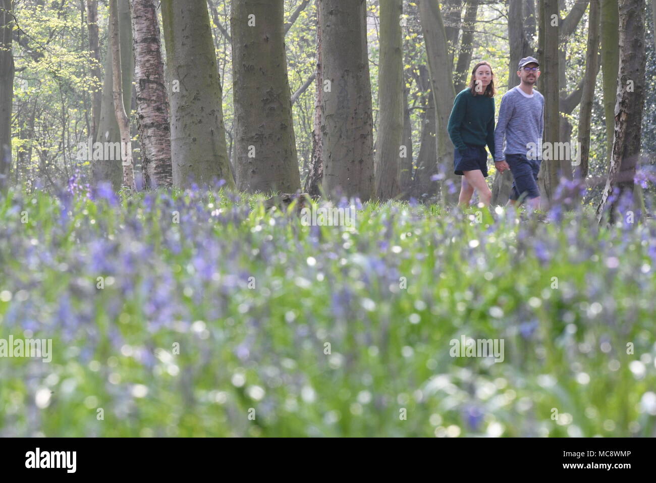 Les gens marchent en Wanstead Park dans la forêt d'Epping, East London. Banque D'Images