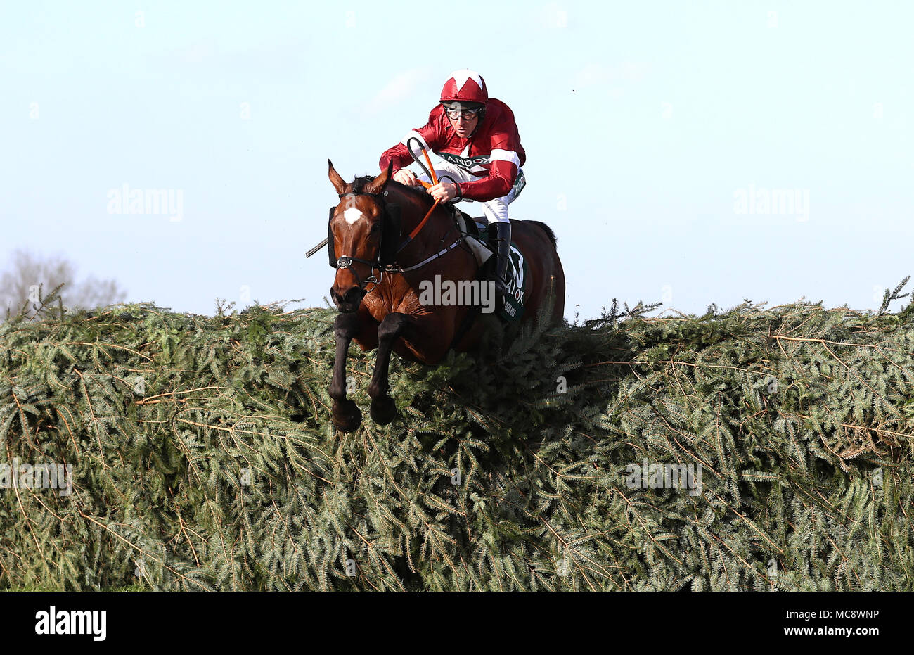 Rouleau de tigre monté par Jockey Davy Russell sur la façon de gagner le Grand National Handicap Santé Randox Chase lors de la Journée nationale de la Santé 2018 Randox Grand National à Aintree Hippodrome Festival, Liverpool. Banque D'Images