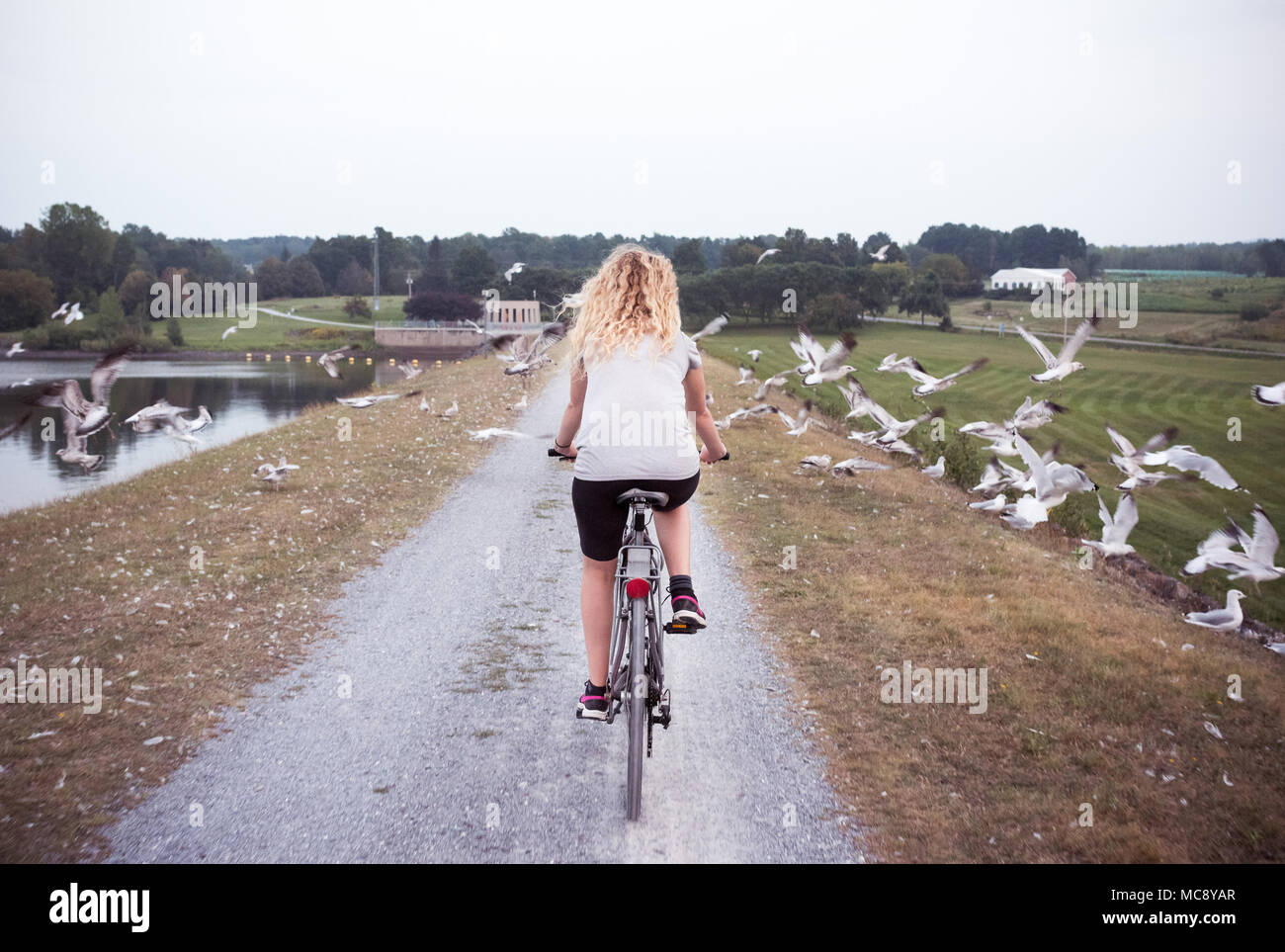 Jeune femme de rouler à vélo dans un parc national avec vol de mouettes autour Banque D'Images