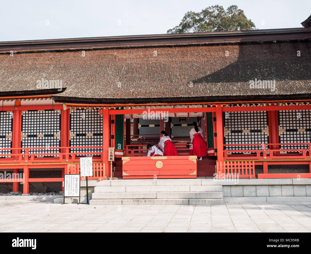 Miko, culte Maidens nettoyage du Haiden, temple principal, Jogu, Usa Jingu, Oita, Kyushu, Japon Banque D'Images