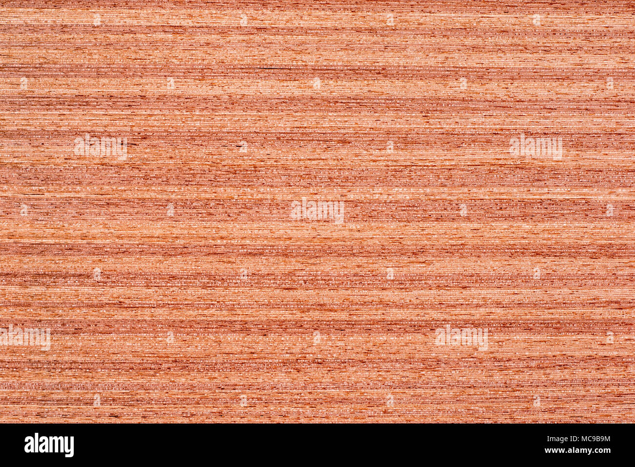 La texture du bois de teck Banque D'Images