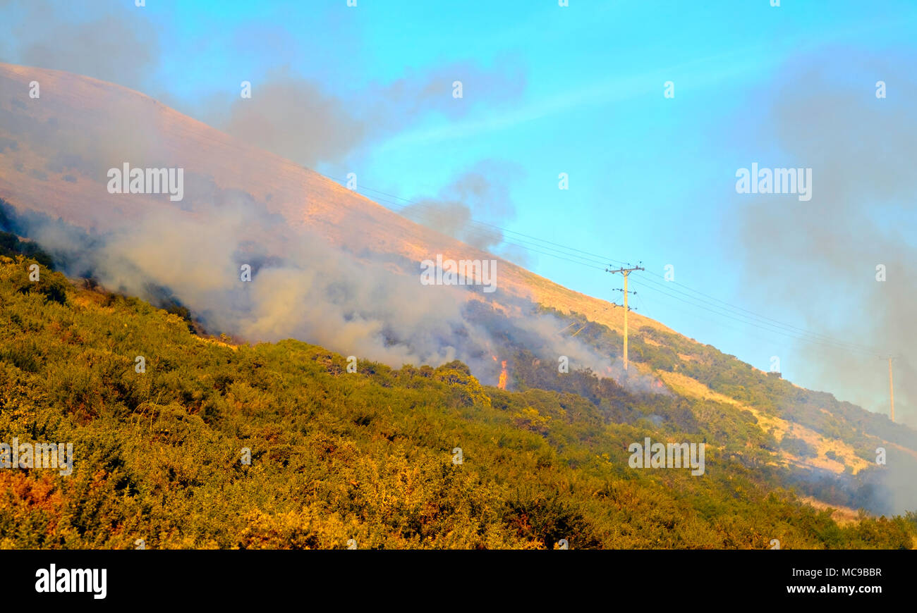 La combustion contrôlée l'ajonc sur une colline dans la région des Scottish Borders près de Broughton Banque D'Images